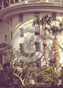 rchitecture with palm trees, light and shadows and vintage filter.