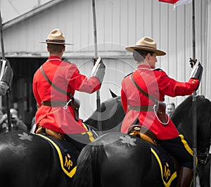 RCMP, horses and maple leaf tattoo