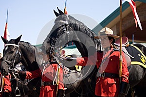 RCMP Musical Ride Review