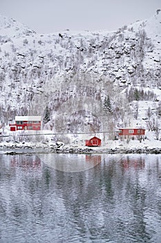 Rd rorbu houses in Norway in winter