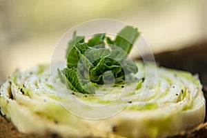 Re-seedling of Beijing cabbage in peat containers