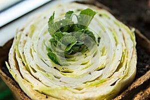 Re-seedling of Beijing cabbage in peat containers