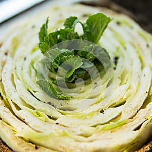 Re-seedling of Beijing cabbage in peat containers