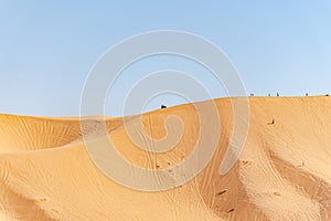 Reach the summit of the sand dune