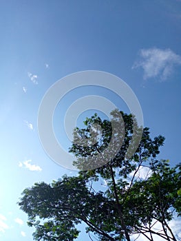 reach your dream as high as the sky