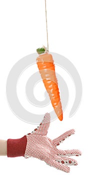 Reaching for a carrot on a string