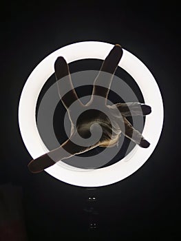 Reaching Lightring hand