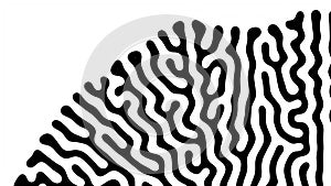 Reaction diffusion organic pattern. Cell division