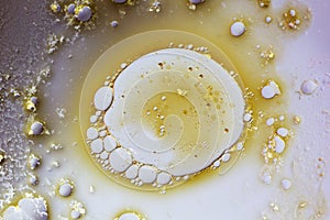 Reaction of liquid bubbles