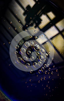 Reactions of chemistry in botony