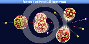 Reactions in the Uranium-235 fission process