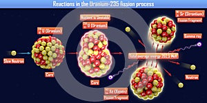 Reactions in the Uranium-235 fission process