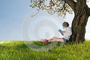Read a book sitting under a blossom tree