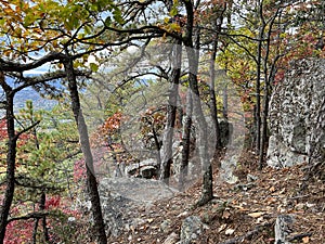 Leggere montagna conserva 