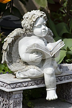 Reading angel