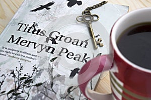 Reading book of famous British writer Mervyn Peake `Titus Groan` from Gormenghast