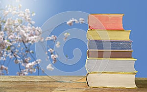 Reading a book and relaxing during springtime holidays, stack of books with cherry blossoms, and cherry tree, free copy space,no