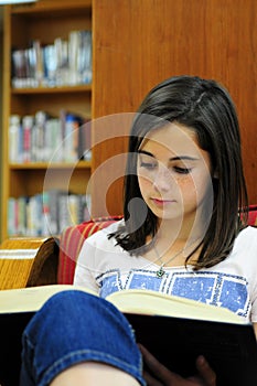 Reading in the Library