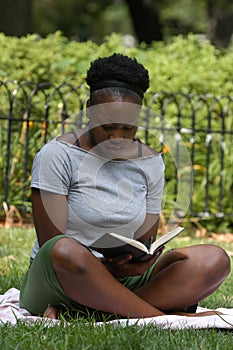 Reading in the park