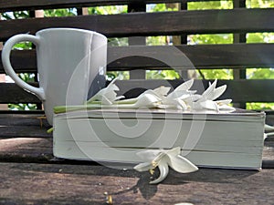 Reading and picnic in the garden