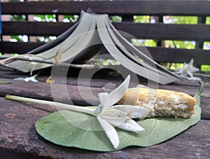 Reading and picnic in the garden
