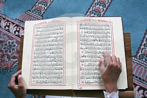 Liesen Koran 