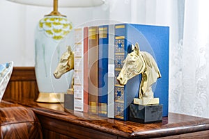 Reading room golden horse head bookshelf