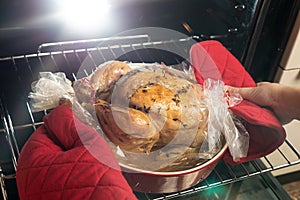 Ready baked traditional Christmas turkey bird or hen is taken out of the oven. Festive Christmas accessories