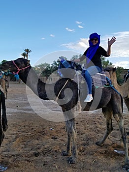 Ready for a Camel trek in Sahara to see the sunset!