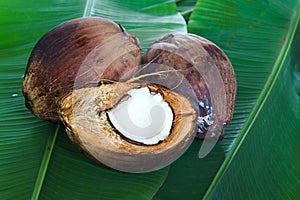 Ready coconut raw material for cooking