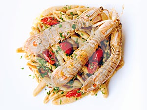 Sea cicadas pasta