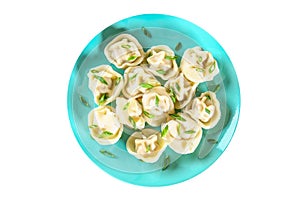 Ready dumplings. Dumplings isolated on white background. Boiled dumplings on a plate. Top view. photo