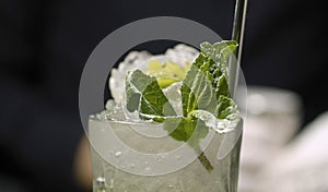 Ready-made Classic Mojito Cocktail