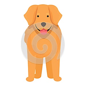 Ready for play dog icon cartoon vector. Golden retriever