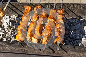 Ready shish kebabs on the grill