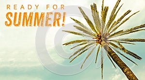 Ready for Summer text and Palm Tree against sunny clear sky panoramic background. Concept for summer vacation, tropical travel