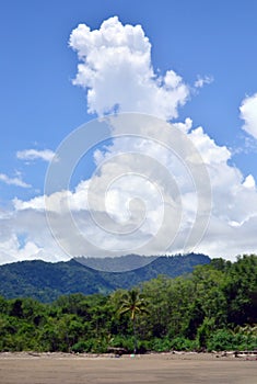 Ready for the summer