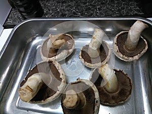 Uncooked cheshunt mushrooms