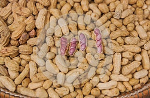 Ready to eat boiled peanuts.