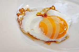 Ready to eat fried egg on plate