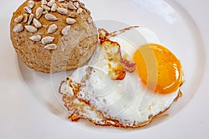 Ready to eat fried egg on plate