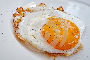 Ready to eat fried egg on plate