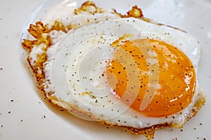 Ready to eat fried egg on plate