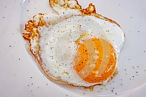 Ready to eat fried egg on plate
