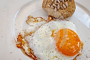 Ready to eat fried egg on plate