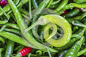 Ready to eat green peppers