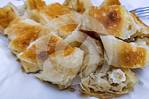 Ready to eat traditional turkish kol borek in plate