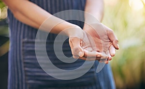 Ready to receive all miracles. a florist with her hands open ready to receive.