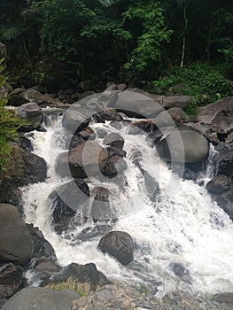 Ready to swim in the kekait river