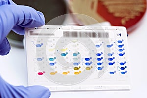 Reagent Strip for biochem and drug sensitivity test for identifield pathogen photo